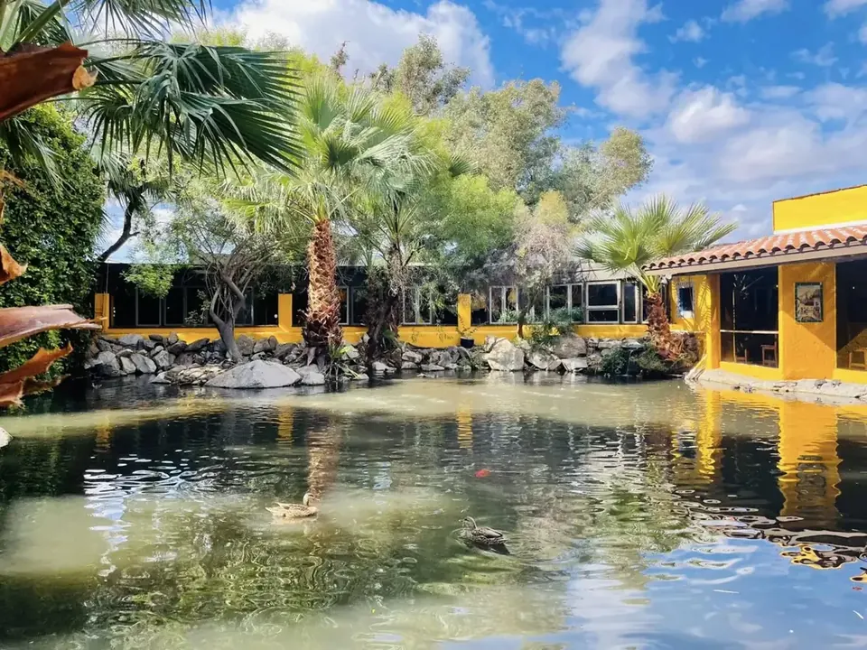 Palms and a pond on a restaurant patio in Cave Creek