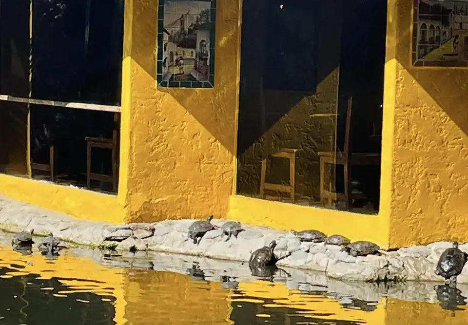 Bright yellow building reflected in a pond, Cave Creek