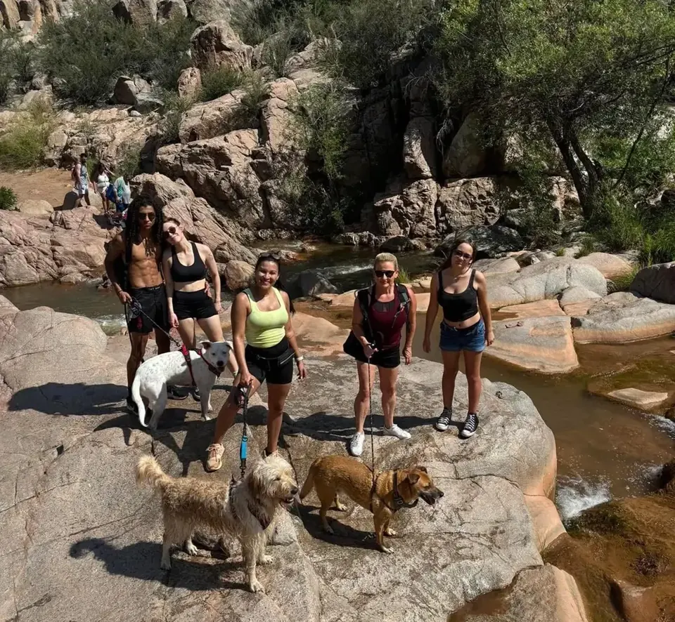 Hiking group and their dogs on the rocks near Payson