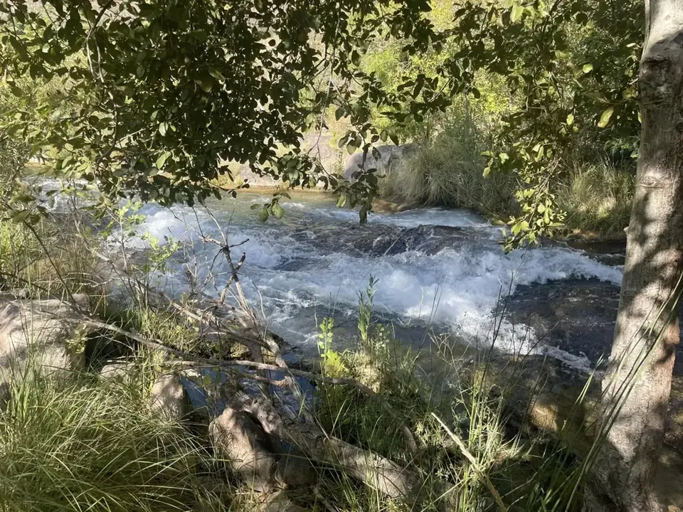 Fossil Creek tumbling white through the trees