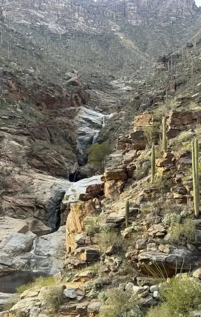 Rocky canyon walls in Sabino Canyon