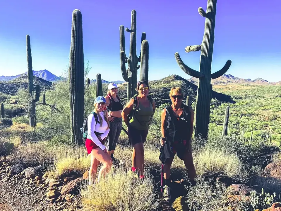 Hikers among saguaros at Spur Cross, Cave Creek