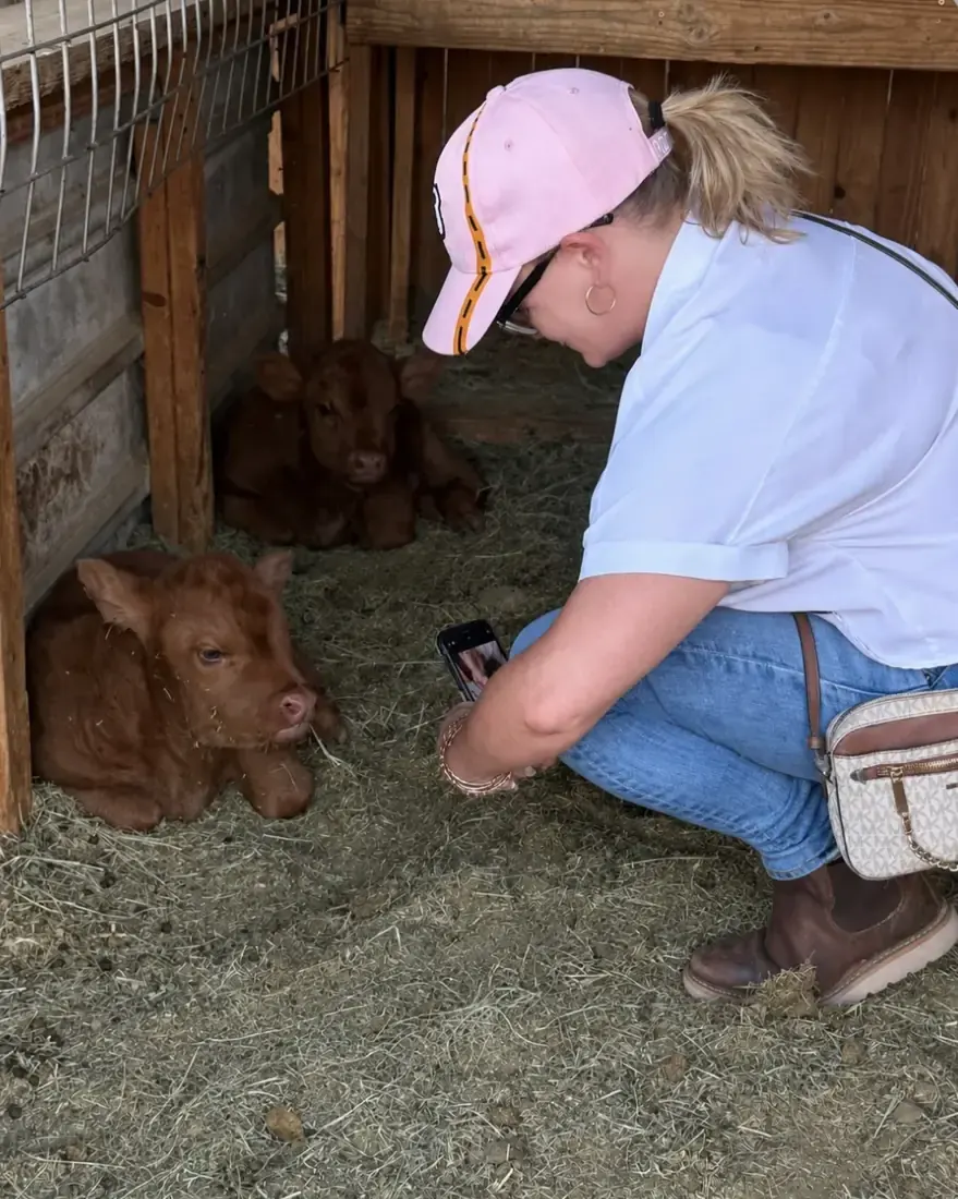 A visitor crouching to meet two calves in the barn